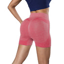 Conjunto de Treino Feminino