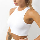 Top Cropped Feminino Básico Sem Costura