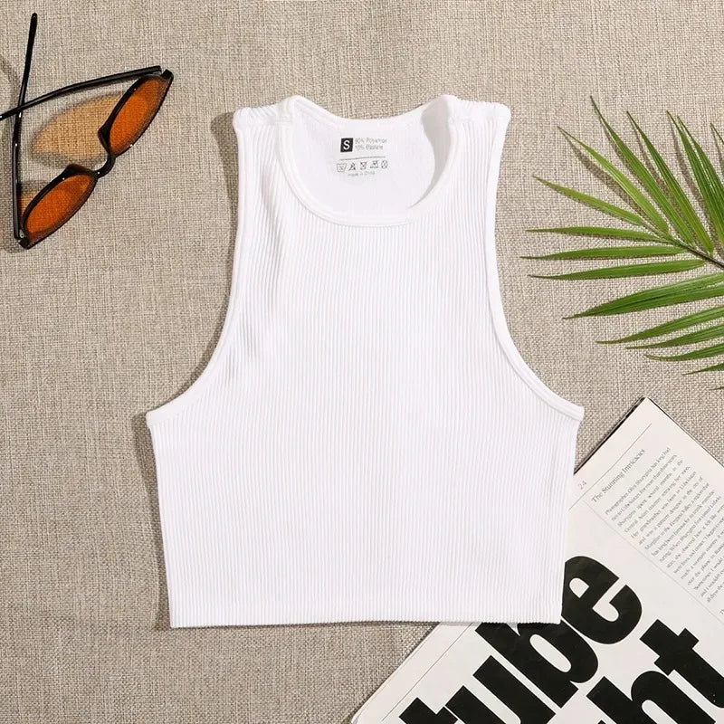 Top Cropped Feminino Básico Sem Costura
